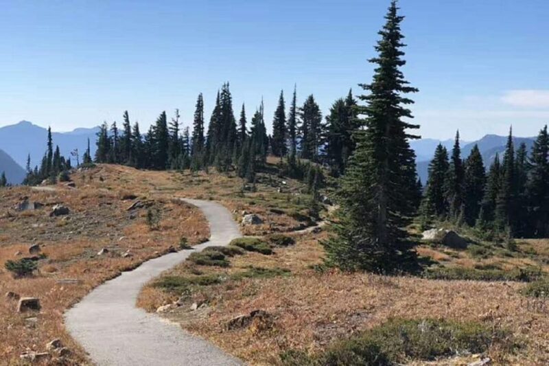 Small Group Mount Rainier National Park 1-Day Tour - Key Points