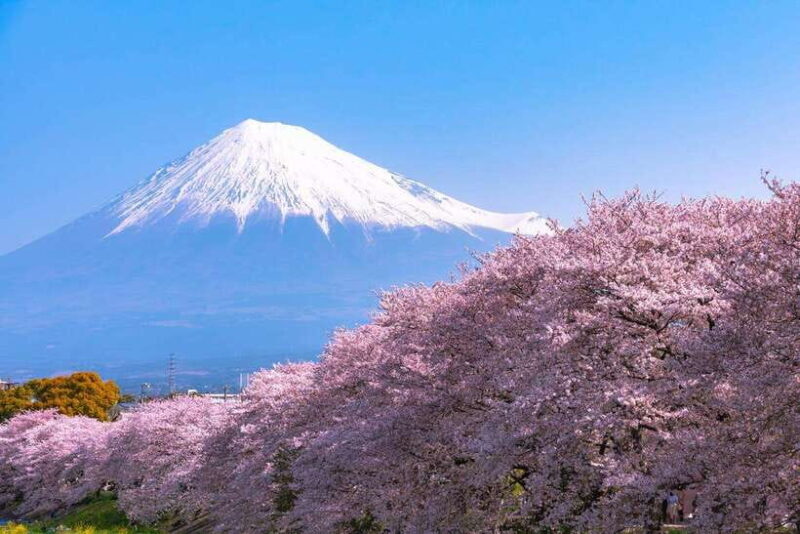 Small Group Mt.Fuji,Lake Kawaguchi&Yamanaka HotelPickup Opt - A Detailed Look at the Tour Experience