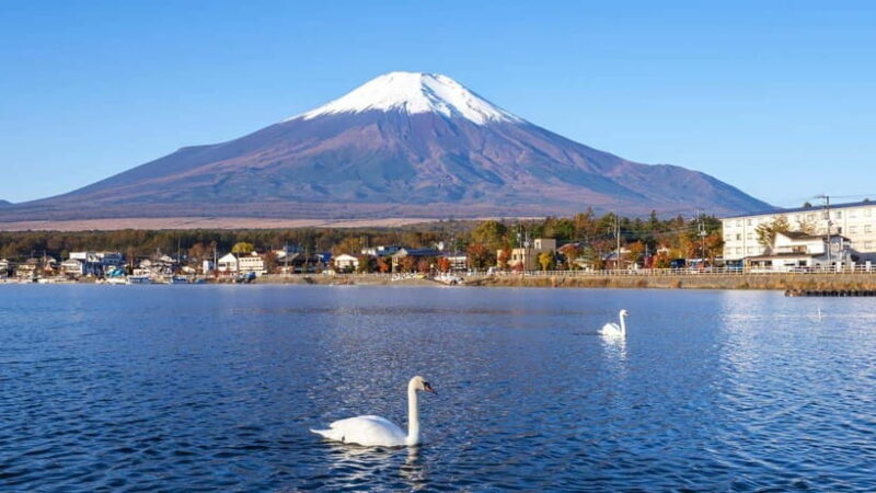Small Group Mt.Fuji,Lake Kawaguchi&Yamanaka HotelPickup Opt - Who Will Benefit Most from This Tour?