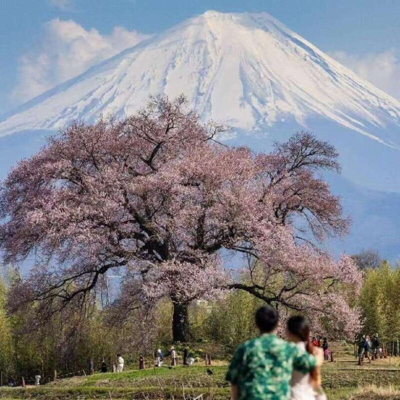 Small Group Mt.Fuji,Lake Kawaguchi&Yamanaka HotelPickup Opt - FAQs