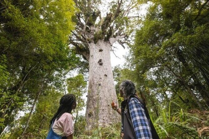 Small-Group Mystical Waipoua Forest Kauri Tour from Auckland - Who Will Love This Tour?