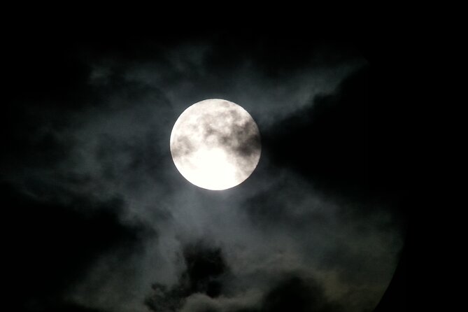 Small Group Night Walking Tour in Monteverde - Unique Wildlife Sightings