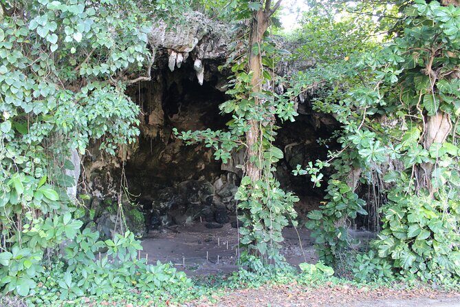 Small-Group North Coast Beach Hopping Adventure in Puerto Rico - Comfortable, Convenient Transportation