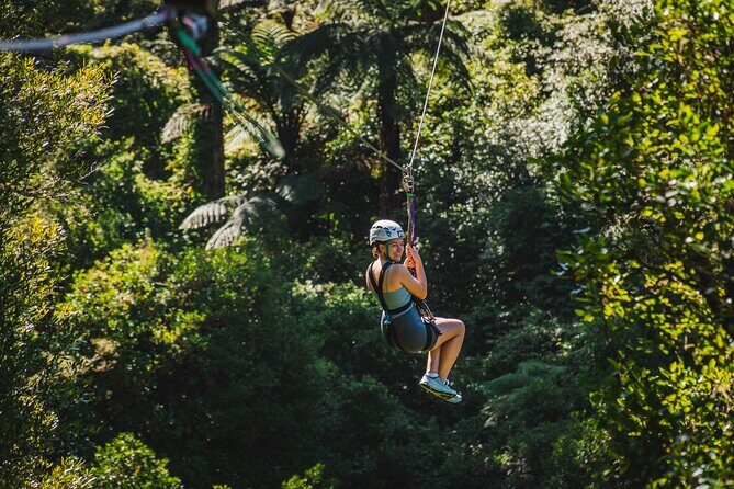 Small Group Northern Voyager 7 Days Tour - What We Loved About the Tour