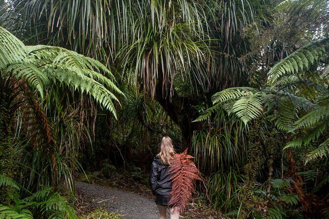 Small Group Northern Voyager 7 Days Tour - Final Thoughts: Is This Tour for You?