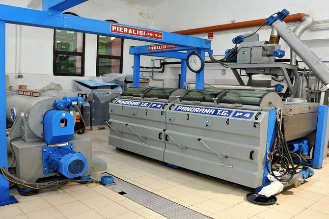 Small-Group Olive Oil Tour in Cres Review - Olive Oil Tasting Experience