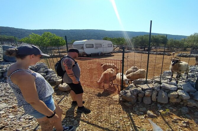 Small-Group Olive Oil Tour in Cres Review - Meeting and End Points
