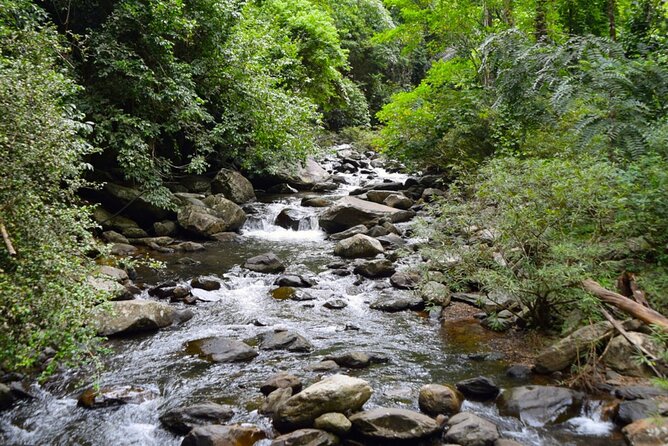 Small-Group Pala U Waterfall Jungle Tour From Hua Hin - Important Guidelines
