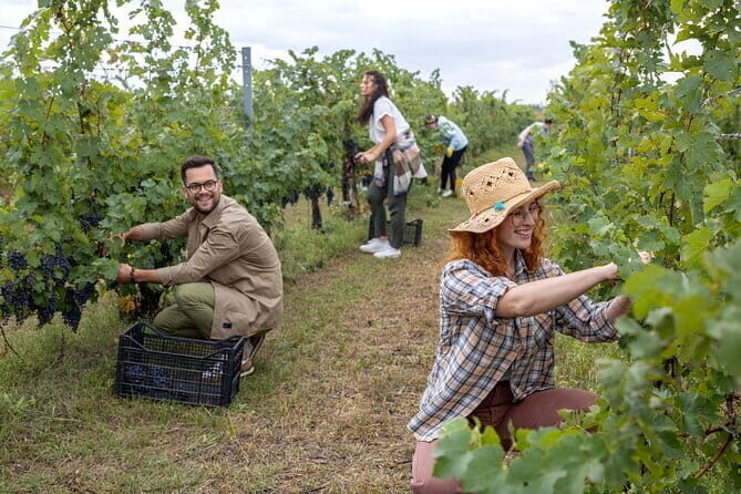 Small Group Pasta Making Class Wine Tasting in a Tuscan Castle - FAQ