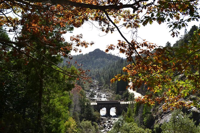 Small Group Peneda Geres National Park Full Day Tour From Porto - Guide Information