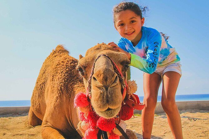 Small Group Private Camel Ride and Beach Adventure in Migrino - Key Points