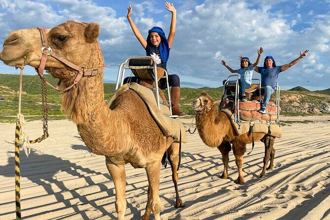 Small Group Private Camel Ride and Beach Adventure in Migrino - What to Expect from This Camel Ride Adventure