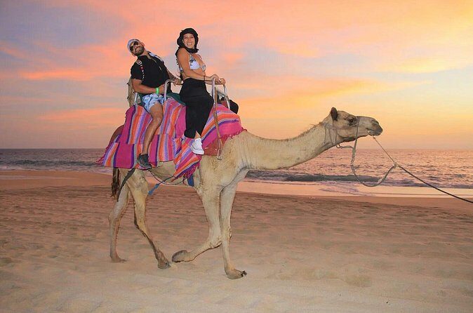 Small Group Private Camel Ride and Beach Adventure in Migrino - How Does the Price Stack Up?