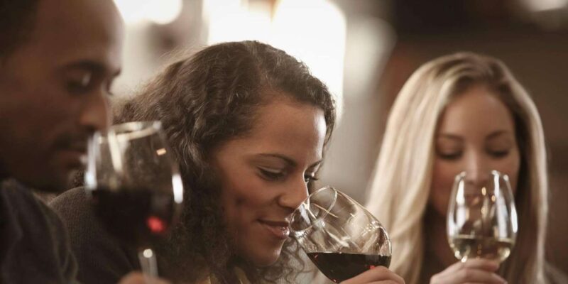 Small Group Private Tour - Cape Winelands (Min. 5 Pax) - Transportation and Guide
