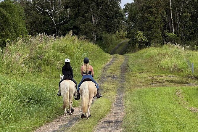Small Group Rainforest Trail Ride - Small Group Rainforest Trail Ride: An Authentic Big Island Adventure