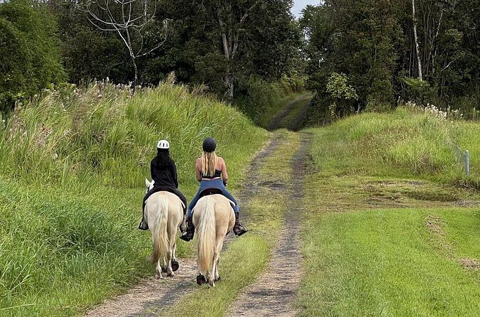 Small Group Rainforest Trail Ride - Practical Considerations and Tips