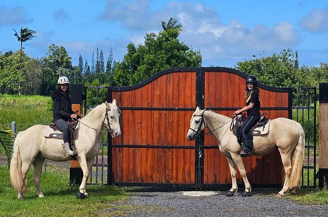 Small Group Rainforest Trail Ride - Final Thoughts