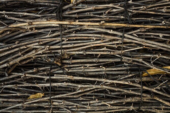 Small-Group Rioja Uncorked Tour from San Sebastian - FAQs