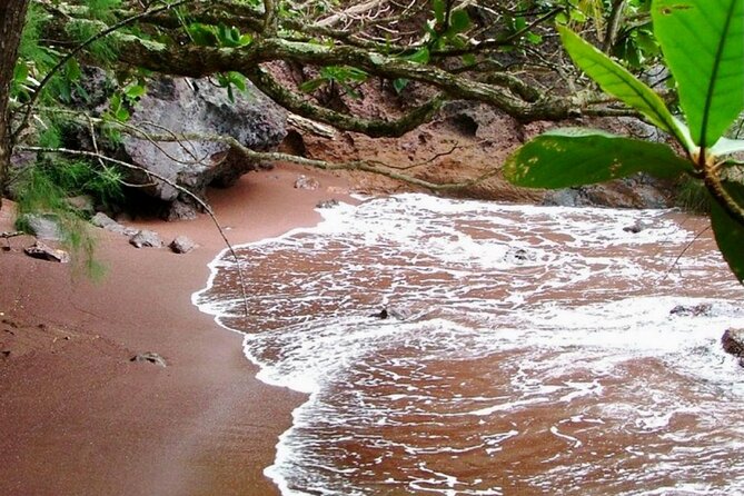 Small Group Road to HāNa Tour 6 to 8 Passengers - Tour Details