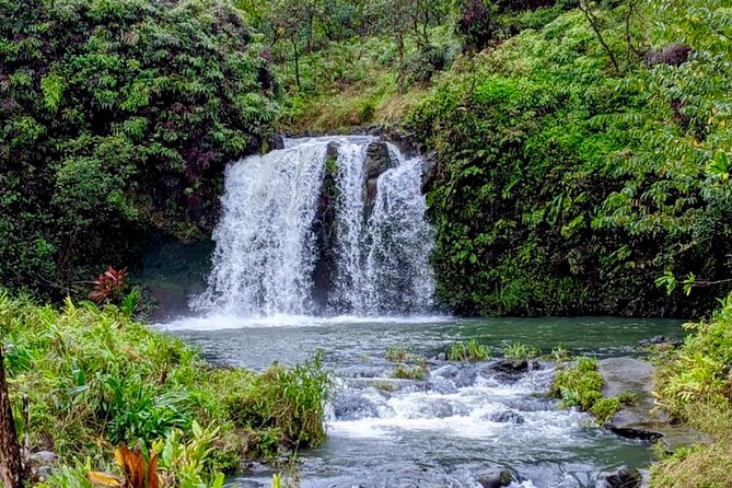 Small Group Road to HāNa Tour 6 to 8 Passengers - Additional Info