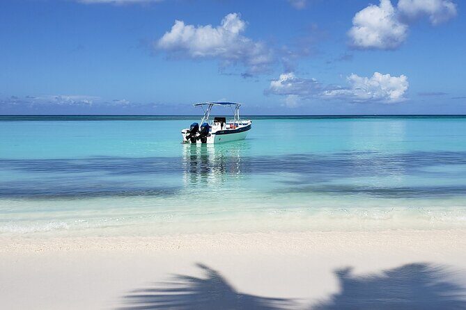 Small Group: Saona Island Full Day Tour - Introduction