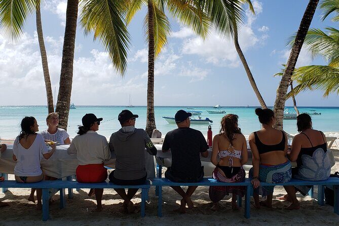 Small Group: Saona Island Full Day Tour - Key Points
