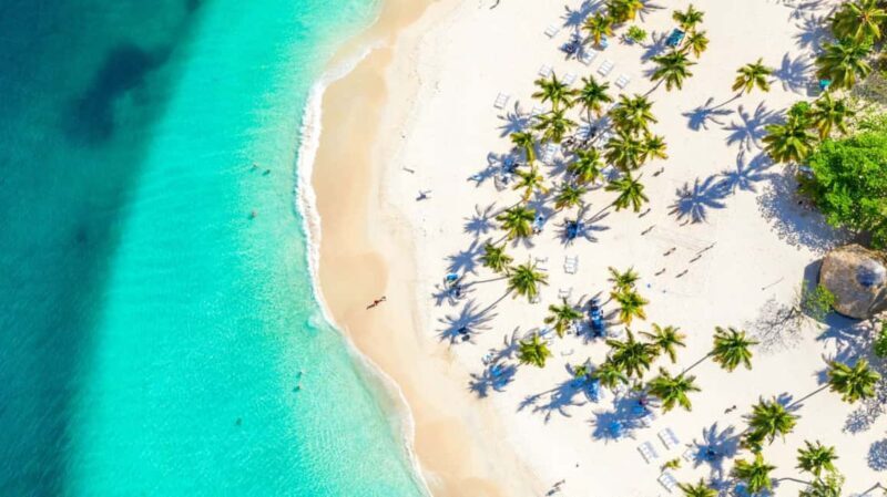 Small Group: Saona Island Full Day Tour Catamaran Open Bar - Price and Value