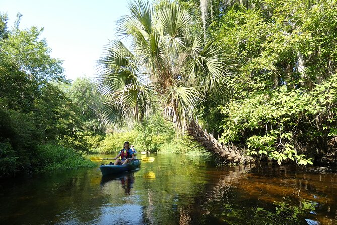 Small Group Scenic Wekiva River Kayak Tour Review - Accessibility and Participation