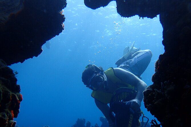 Small-Group Sea Scooters Snorkel at Mangel Halto Beach in Aruba - Meeting Points and Practical Details
