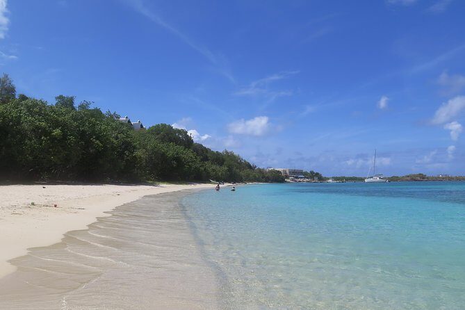 Small Group Sea Turtle Tour (Guaranteed to see turtles) - What to Expect from the Small Group Sea Turtle Tour