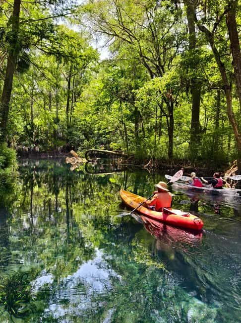 Small Group Silver Springs State Park Day Tour from Orlando - An Honest Look at the Itinerary