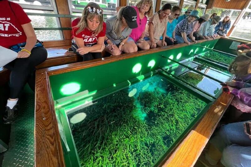 Small Group Silver Springs State Park Day Tour from Orlando - How the Tour Balances Cost and Value