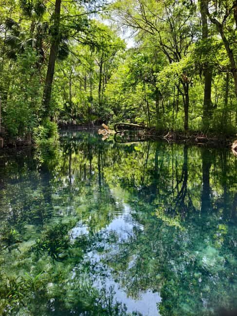 Small Group Silver Springs State Park Day Tour from Orlando - FAQ