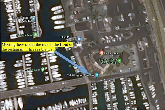 Small group snorkeling (5 people max): wrecks & tropical fishes at 1:00pm - Key Points