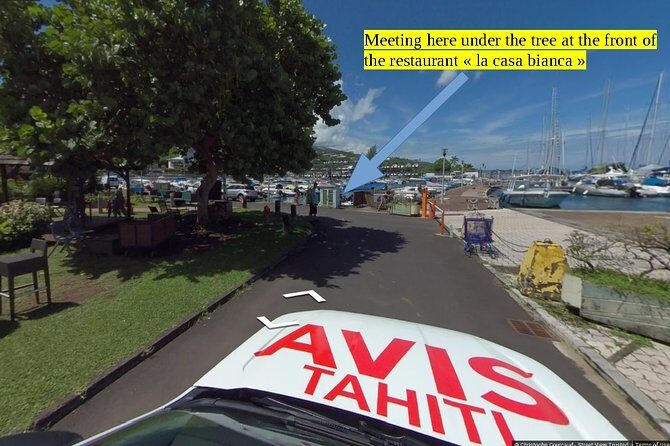 Small group snorkeling (5 people max): wrecks & tropical fishes at 10:30am - The Coral Gardens and Fish