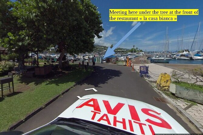 Small group snorkeling (5 people max): wrecks & tropical fishes at 3:30pm - What to Expect from Your Guide and Equipment