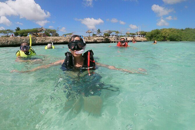 Small Group Snorkeling at Mangel Halto Aruba - Who Will Love This Experience?