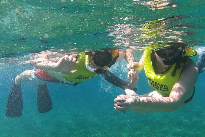 Small-Group Snorkeling Experience at Sea Garden - Key Points  
