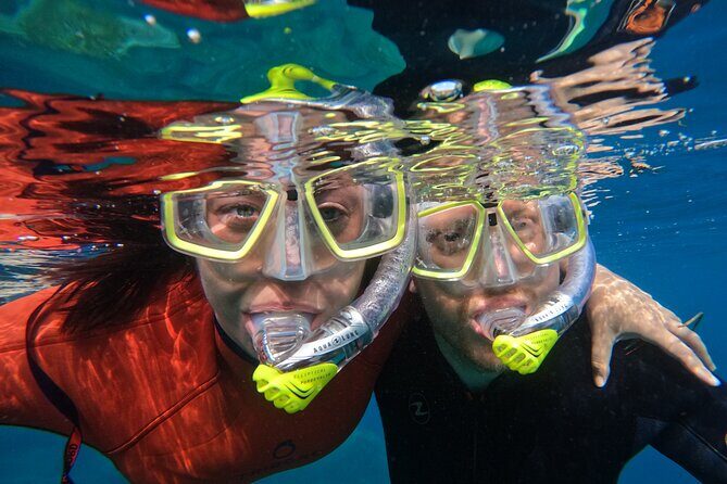 Small Group Snorkeling in Abades Bay with Licensed Guide - Authentic Encounters and Unforgettable Moments