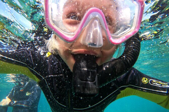 Small Group Snorkeling in Abades Bay with Licensed Guide - Frequently Asked Questions