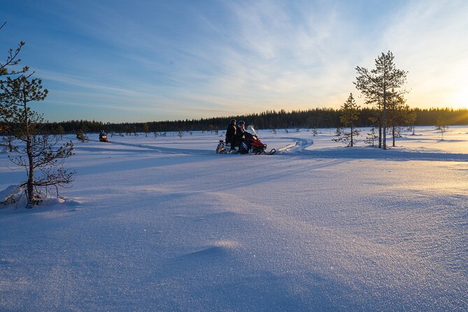 Small-Group Snowmobile Experience in Rovaniemi - Participants Expectations