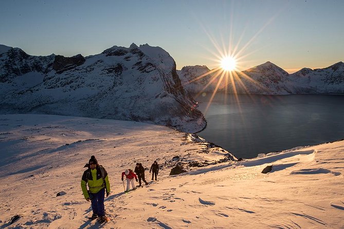 Small-Group Snowshoeing Tour From Tromso - Whats Included in the Tour