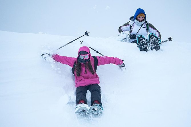 Small-Group Snowshoeing Tour From Tromso - Meeting and Pickup Details