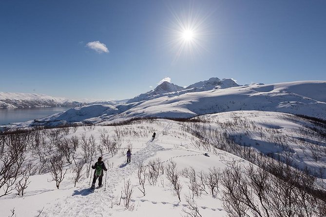 Small-Group Snowshoeing Tour From Tromso - Highlights of the Nature Walk