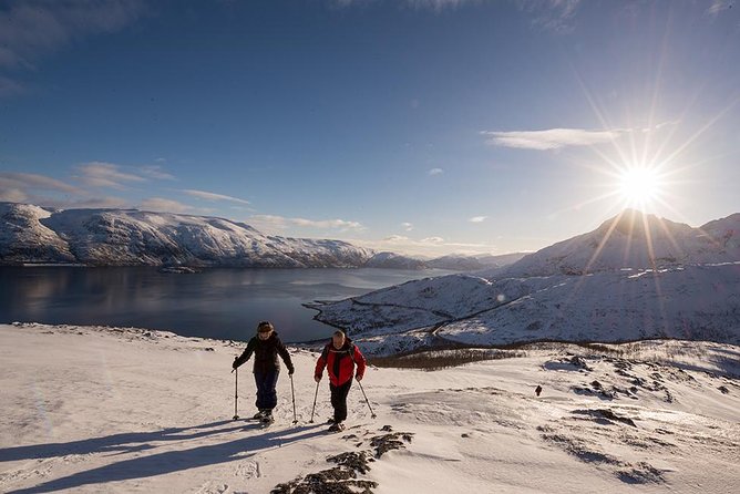 Small-Group Snowshoeing Tour From Tromso - Testimonials and Ratings