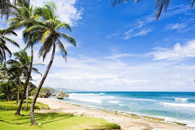 Small-Group Story of Rum Tour in its Birthplace of Barbados - Final Thoughts