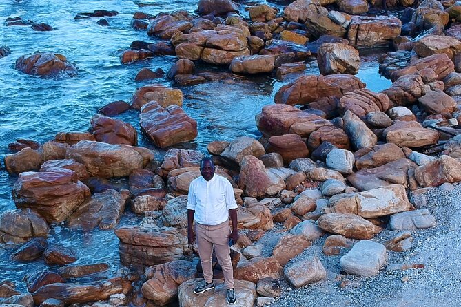 Small Group Table Mountain Penguin Colony and Cape Point Tour - Itinerary Overview