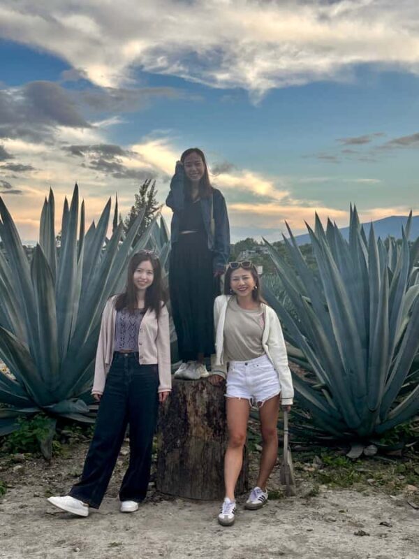 Small group tour: Hierve el Agua, Mezcal, Textiles, and the Tule tree - Key Points