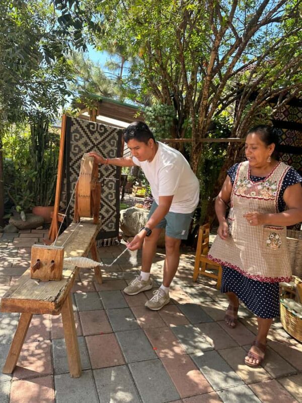 Small group tour: Hierve el Agua, Mezcal, Textiles, and the Tule tree - An Overview of the Experience