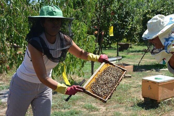 Small Group Tour of Ancient Olympia and Local Food Tasting - Who Should Book This Tour?